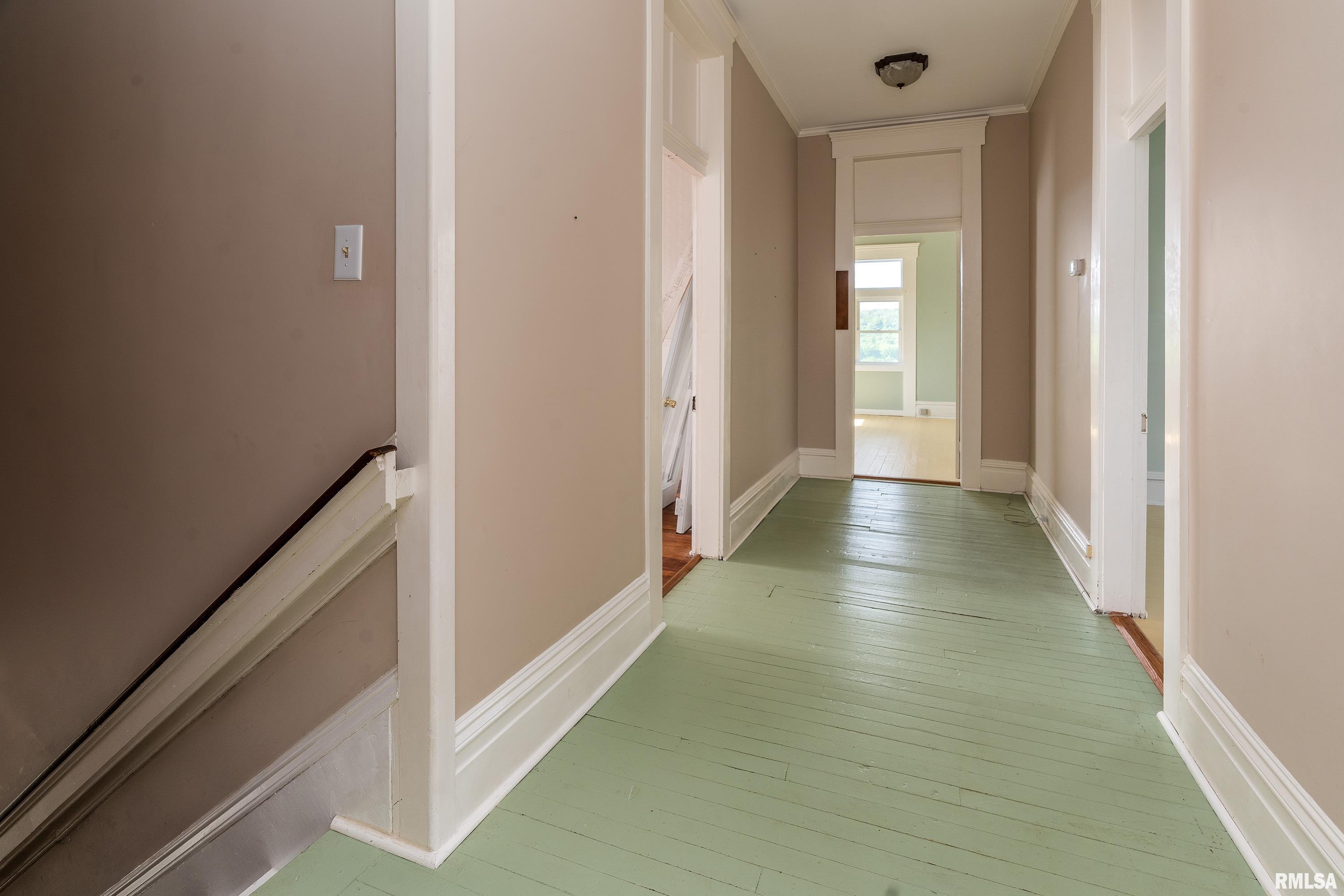 213 E Chatham Street, Golconda, Illinois image 35