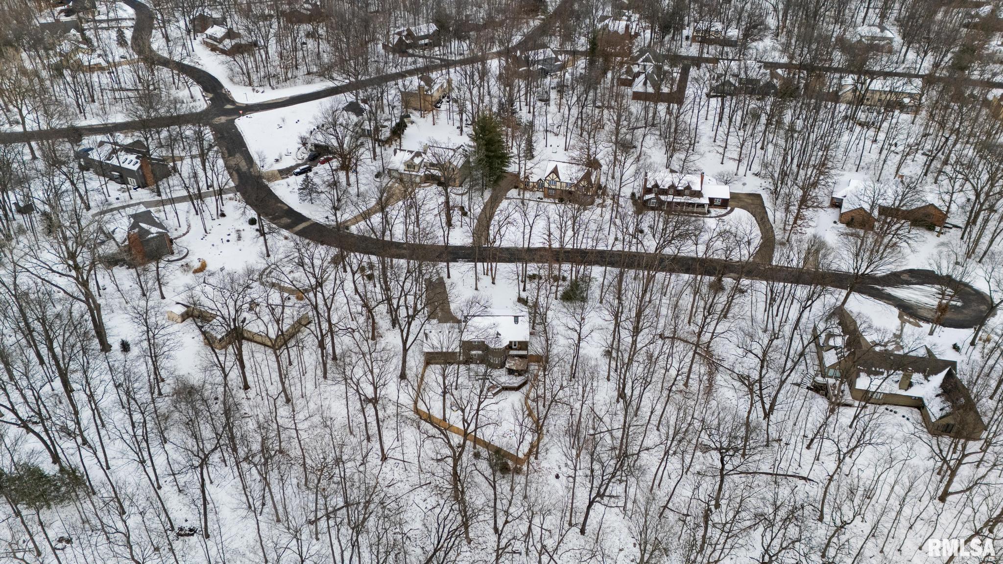 12227 Wood Ridge Court, Dunlap, Illinois image 34