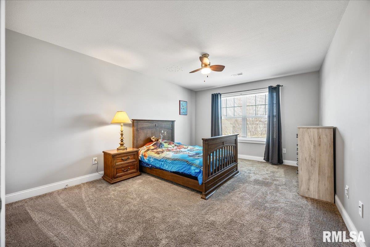 2710 W Quartz Street, Dunlap, Illinois image 34
