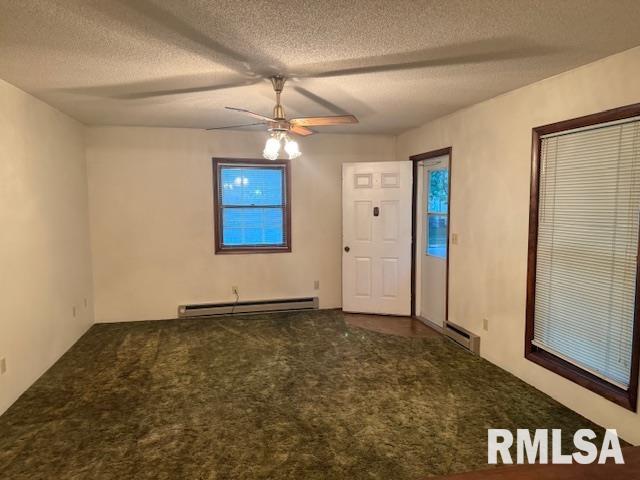 1109 Gent Avenue, Johnston City, Illinois image 2