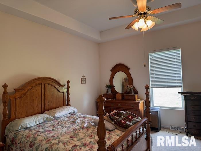 24211 N Carver Road, Canton, Illinois image 13