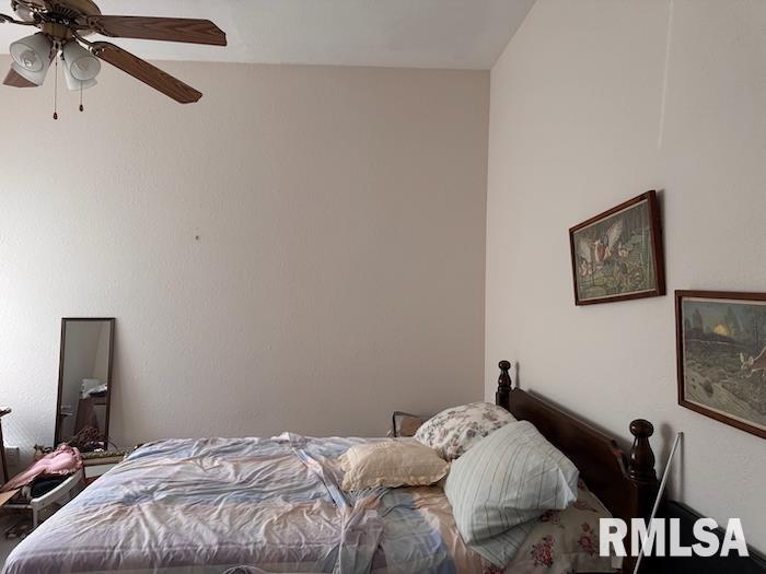 24211 N Carver Road, Canton, Illinois image 24