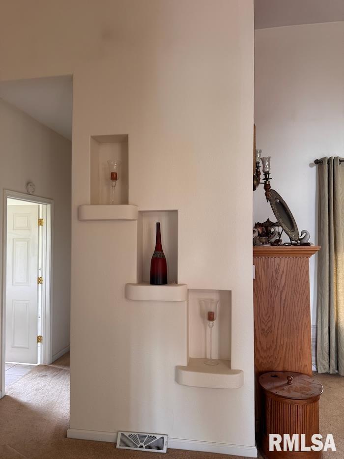 24211 N Carver Road, Canton, Illinois image 8
