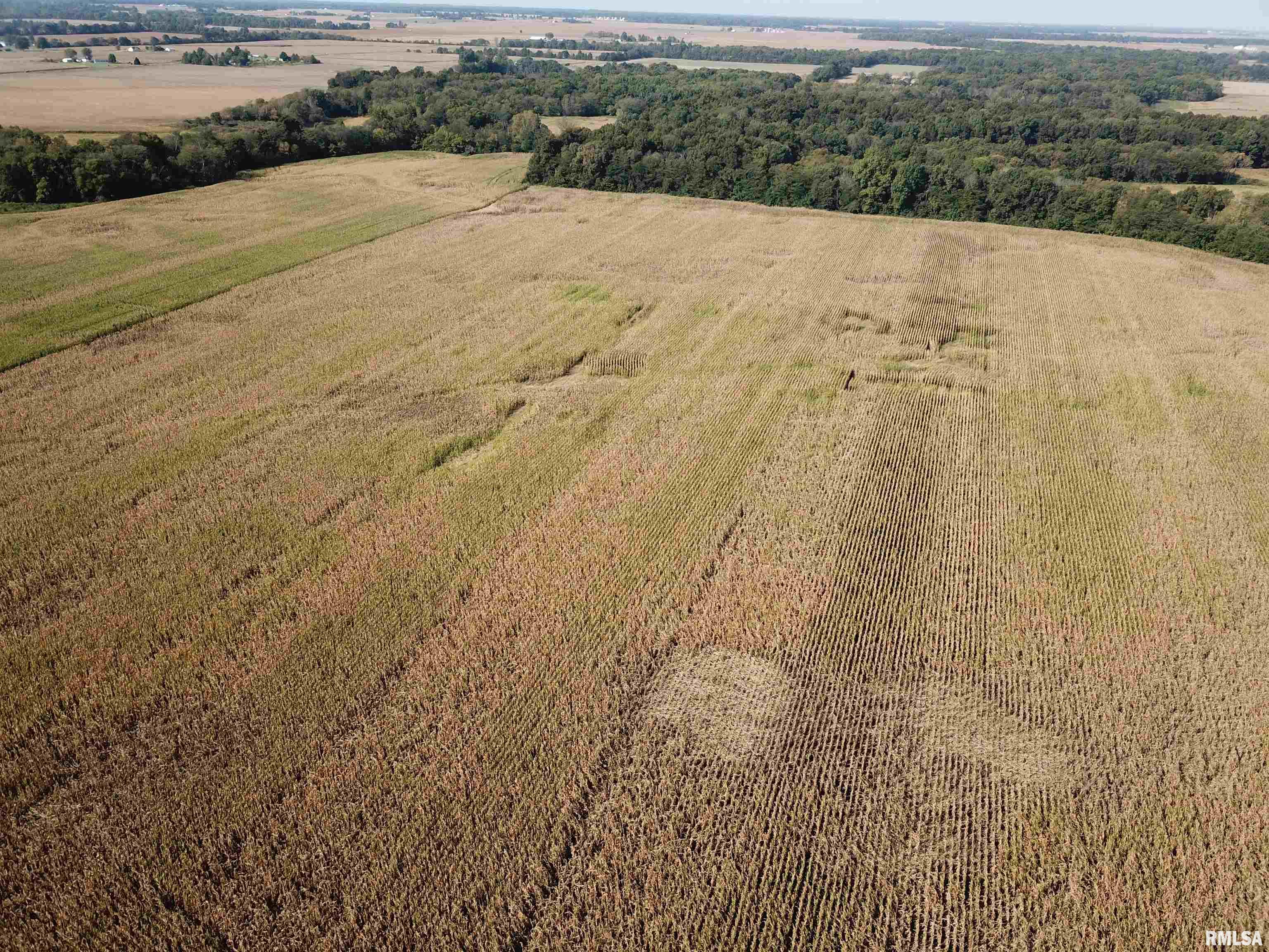 000 N Stanford Road, Flora, Illinois image 9