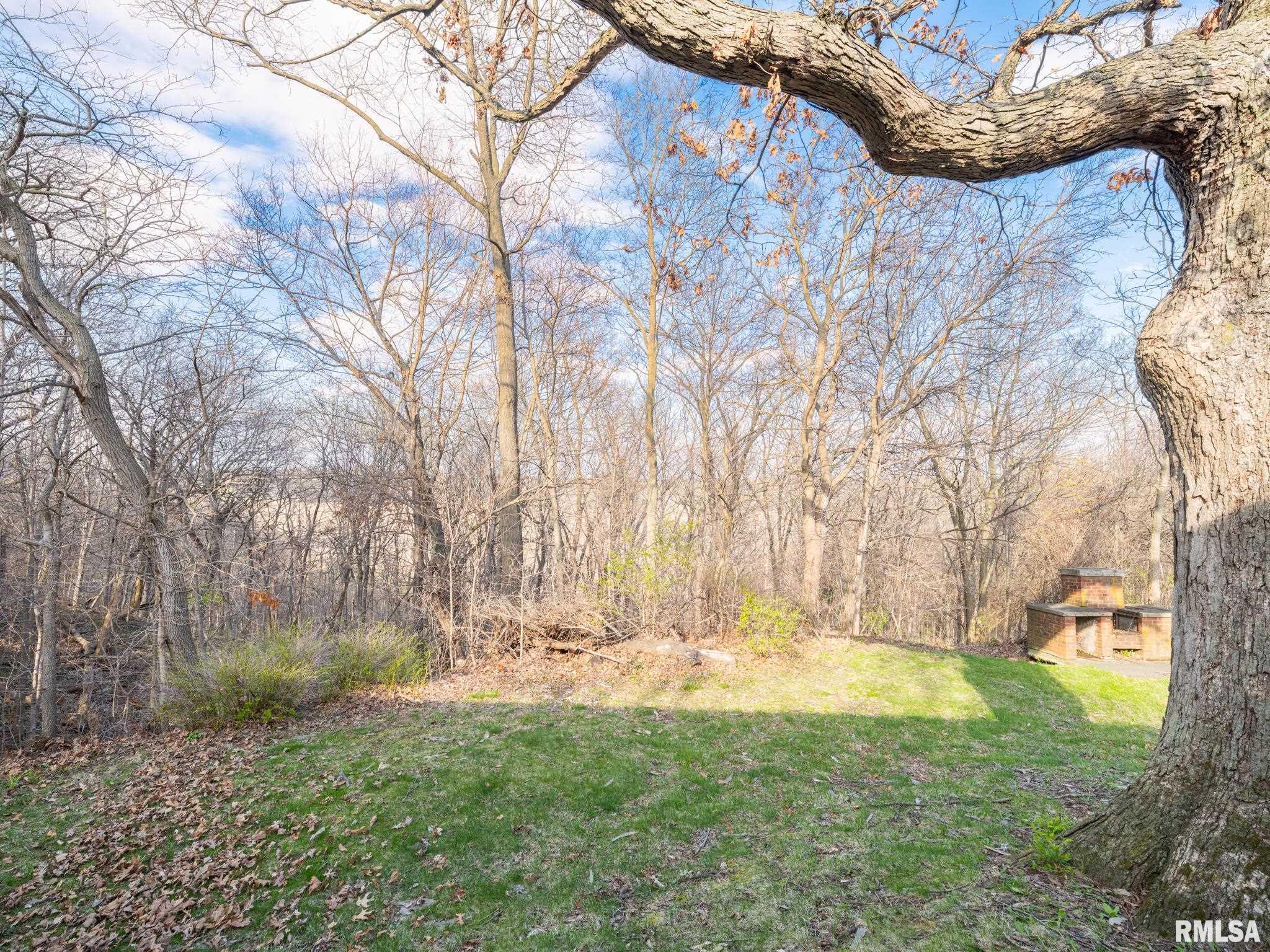 406 S Barnewolt Drive, Peoria, Illinois image 37