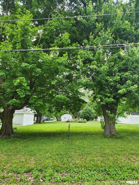 Vacant Land For Sale - 702 S Race Street<br/> Logan County, Atlanta, IL 61723