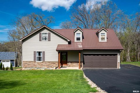 Photo of 139 COTTONWOOD Court, Dahinda, IL 61428 (MLS # PA1265963)