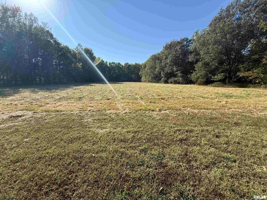2509 WEAVER RD, HERRIN, IL 62948 - Image 6ffaf90ef8a47d0be07bce9df33b617a/3026866975