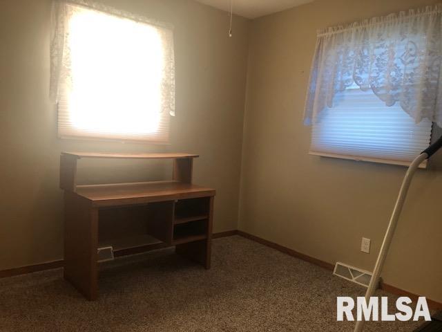 206 Maple Street, Meredosia, Illinois image 7