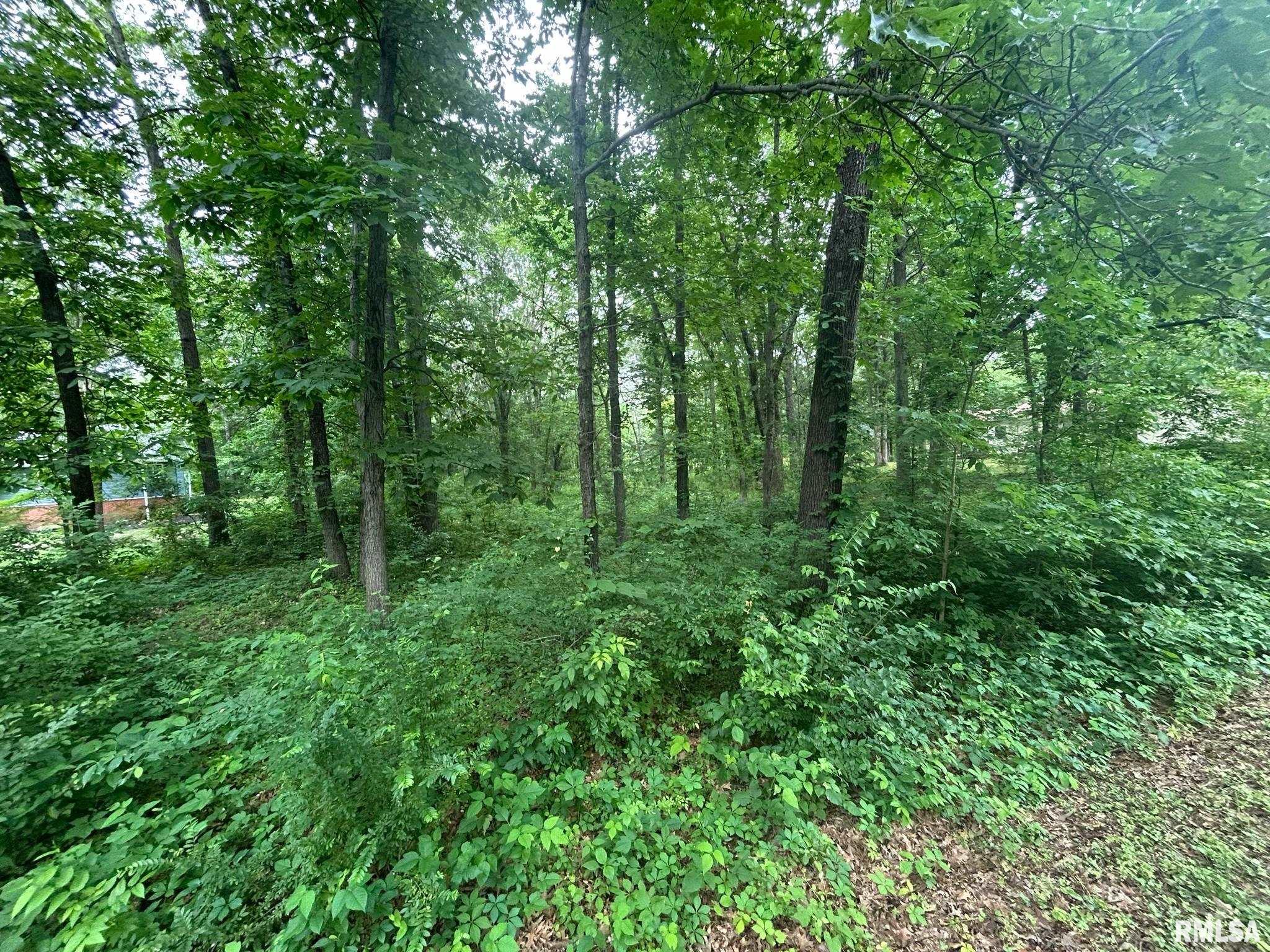 000 White Birch Court, Benton, Illinois image 1