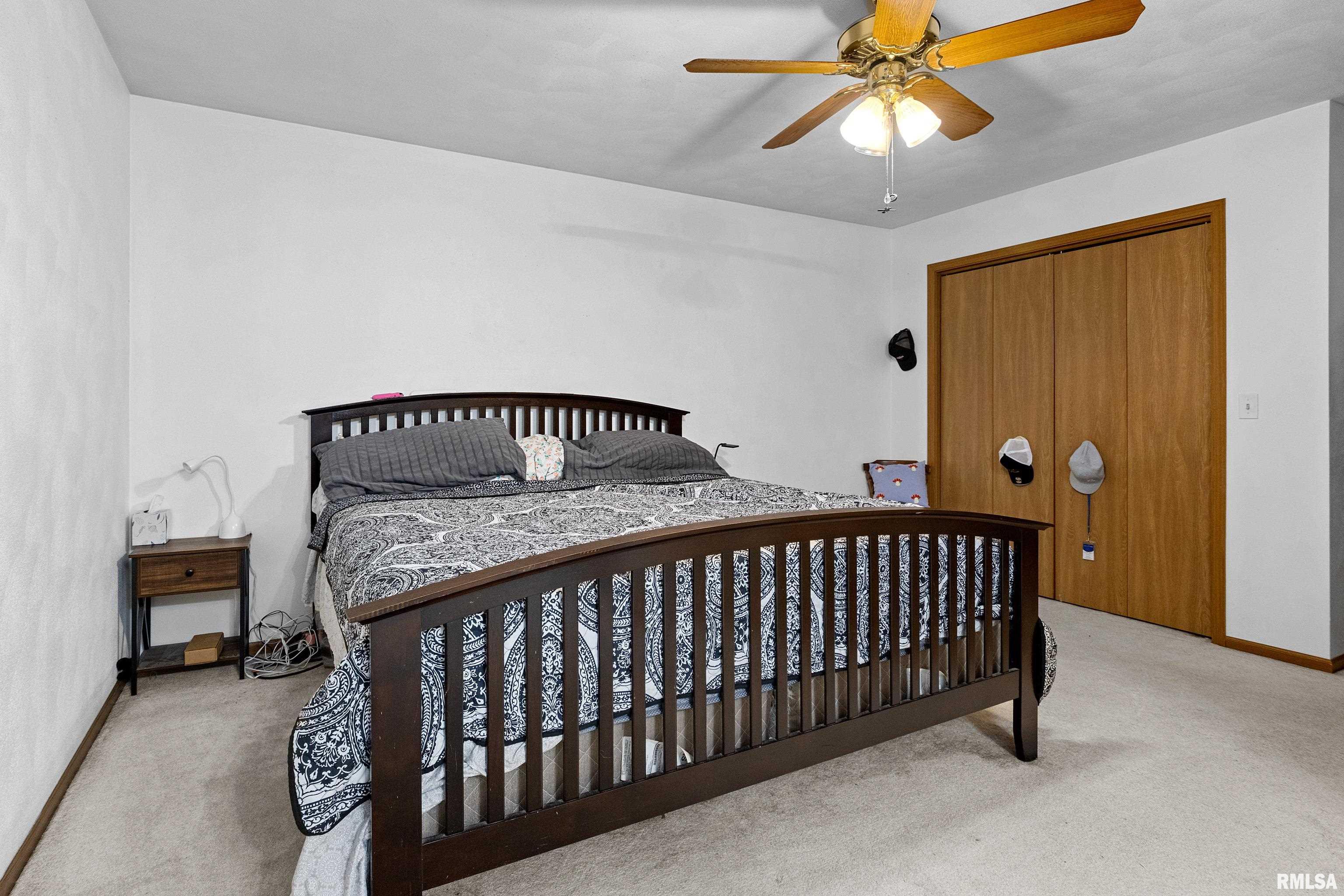 12515 N Cedar Bluff Drive, Dunlap, Illinois image 22