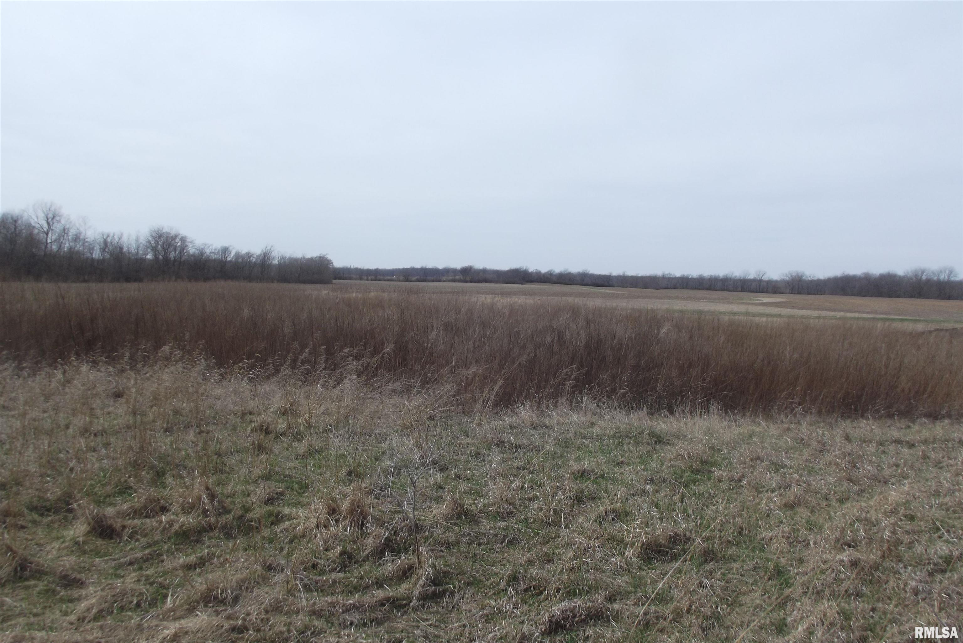 2565 River Bluff Road, Mechanicsburg, Illinois image 3