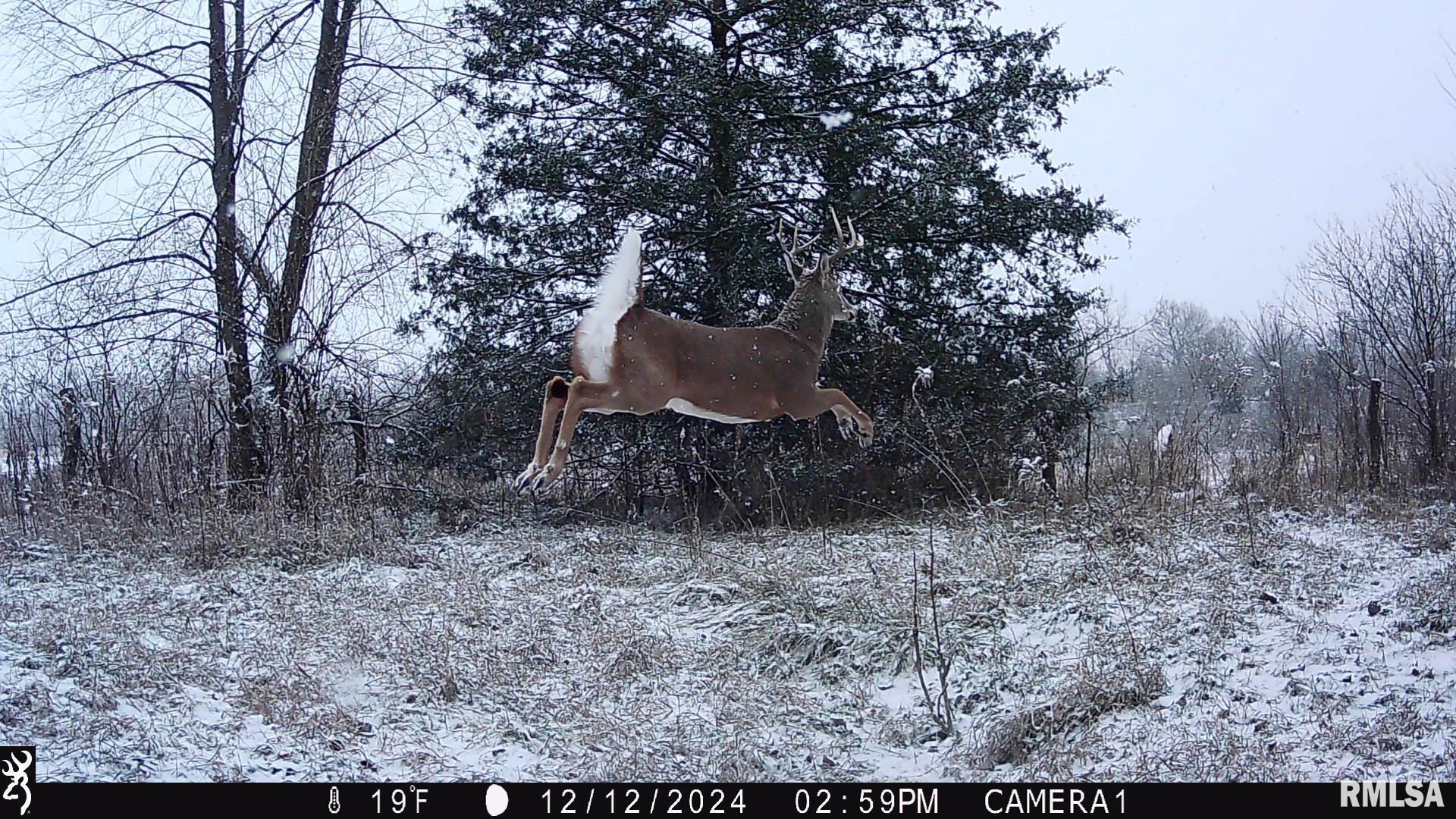 0000 W Meehan Road, Elmwood, Illinois image 9