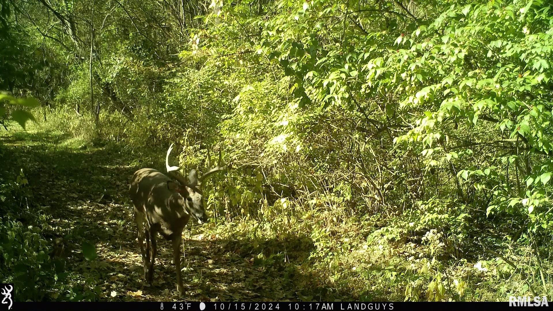 0000 W Meehan Road, Elmwood, Illinois image 30