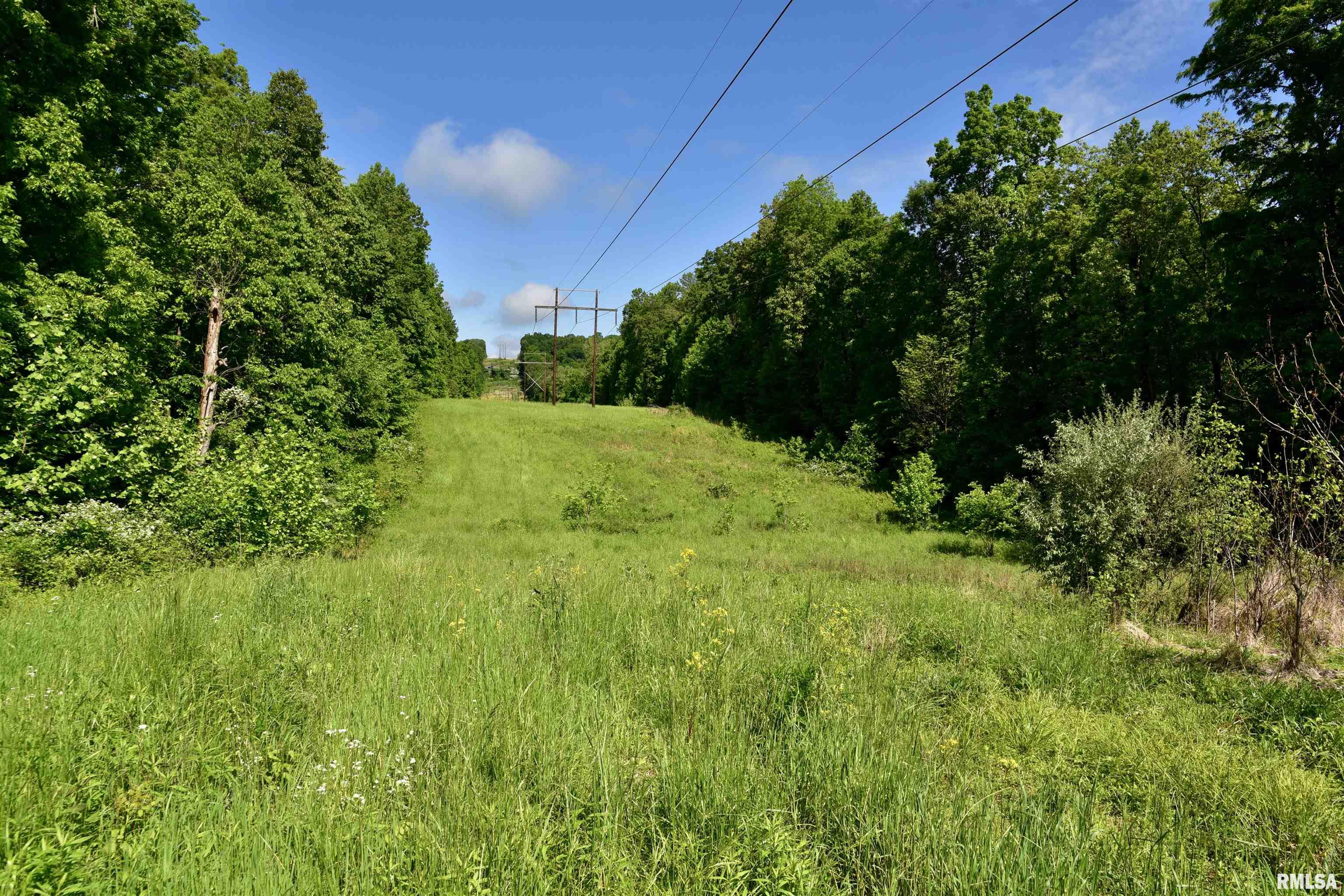 2600 Pleasant Ridge Road, Vienna, Illinois image 13