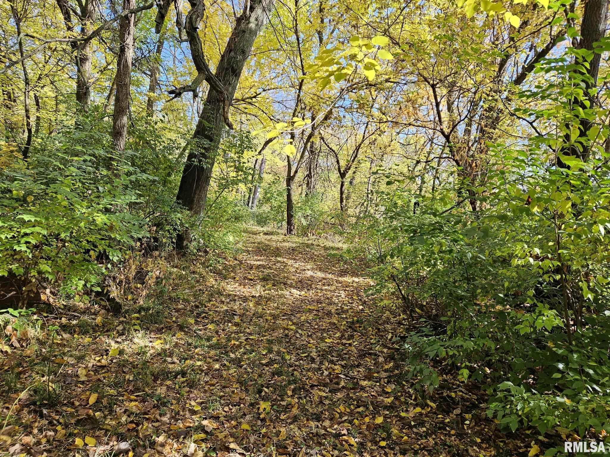 2.7 Acres Zachary Avenue, Montpelier, Iowa image 10