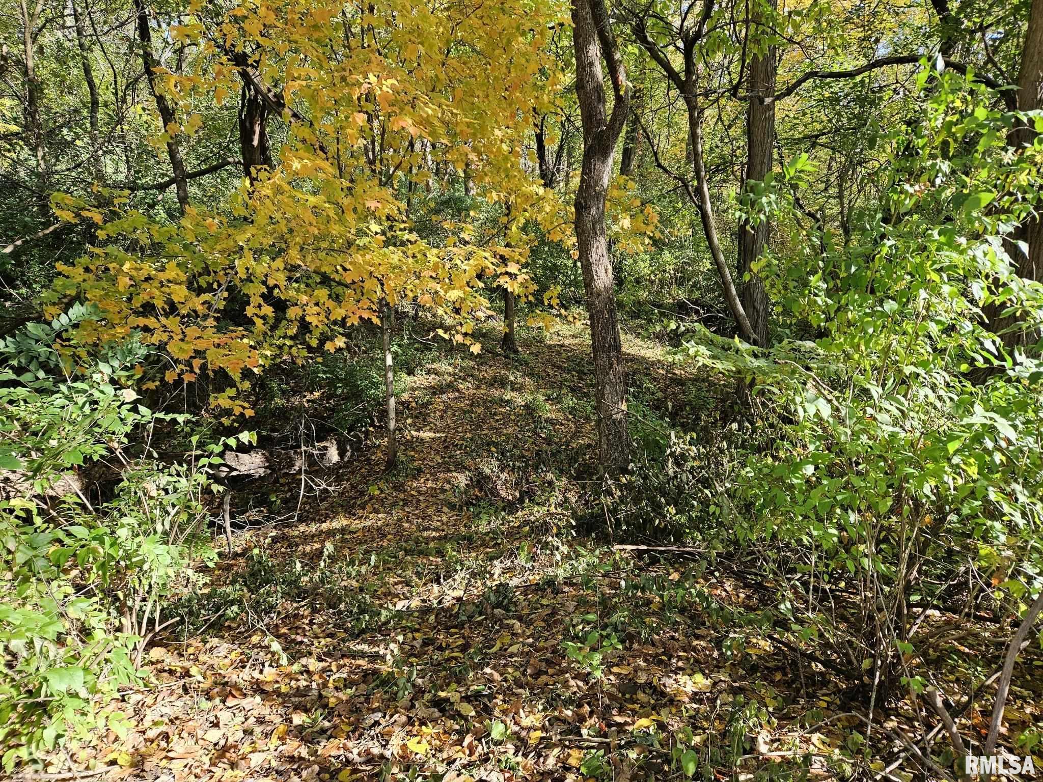 2.7 Acres Zachary Avenue, Montpelier, Iowa image 7