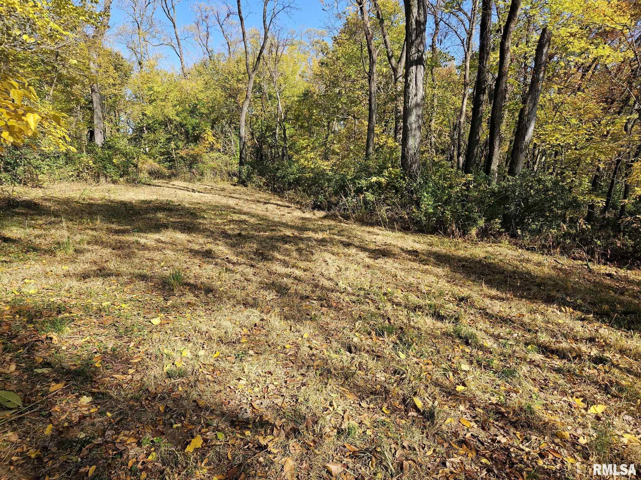 2.7 Acres Zachary Avenue, Montpelier, Iowa image 4