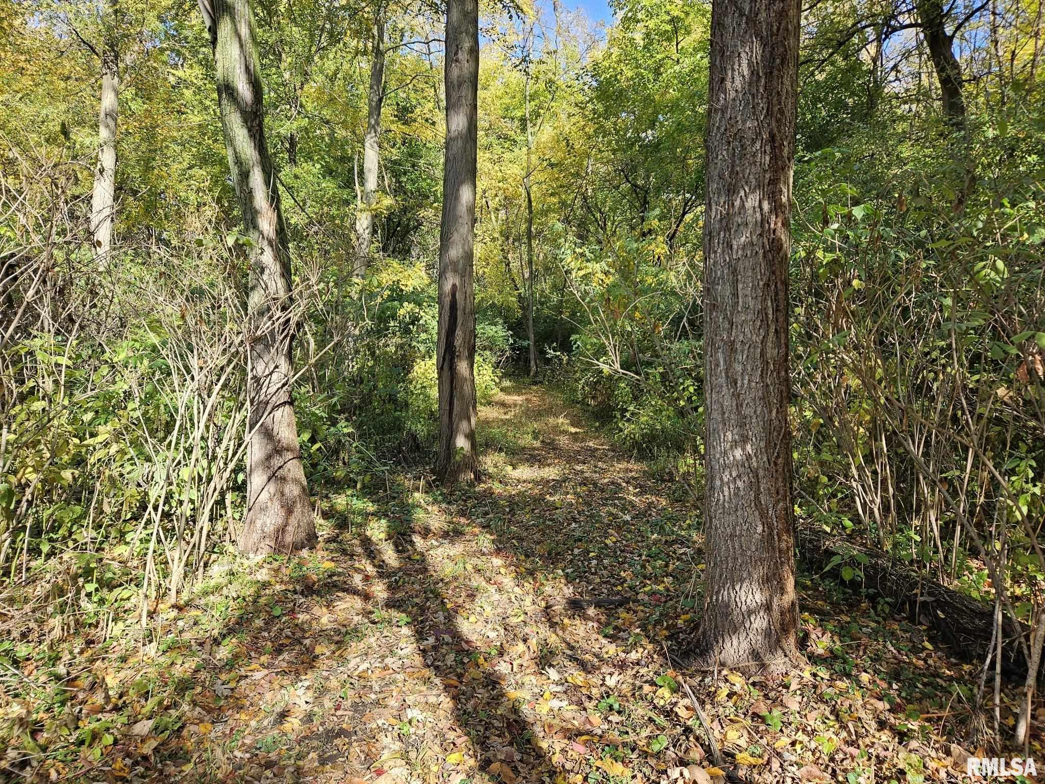 2.7 Acres Zachary Avenue, Montpelier, Iowa image 9