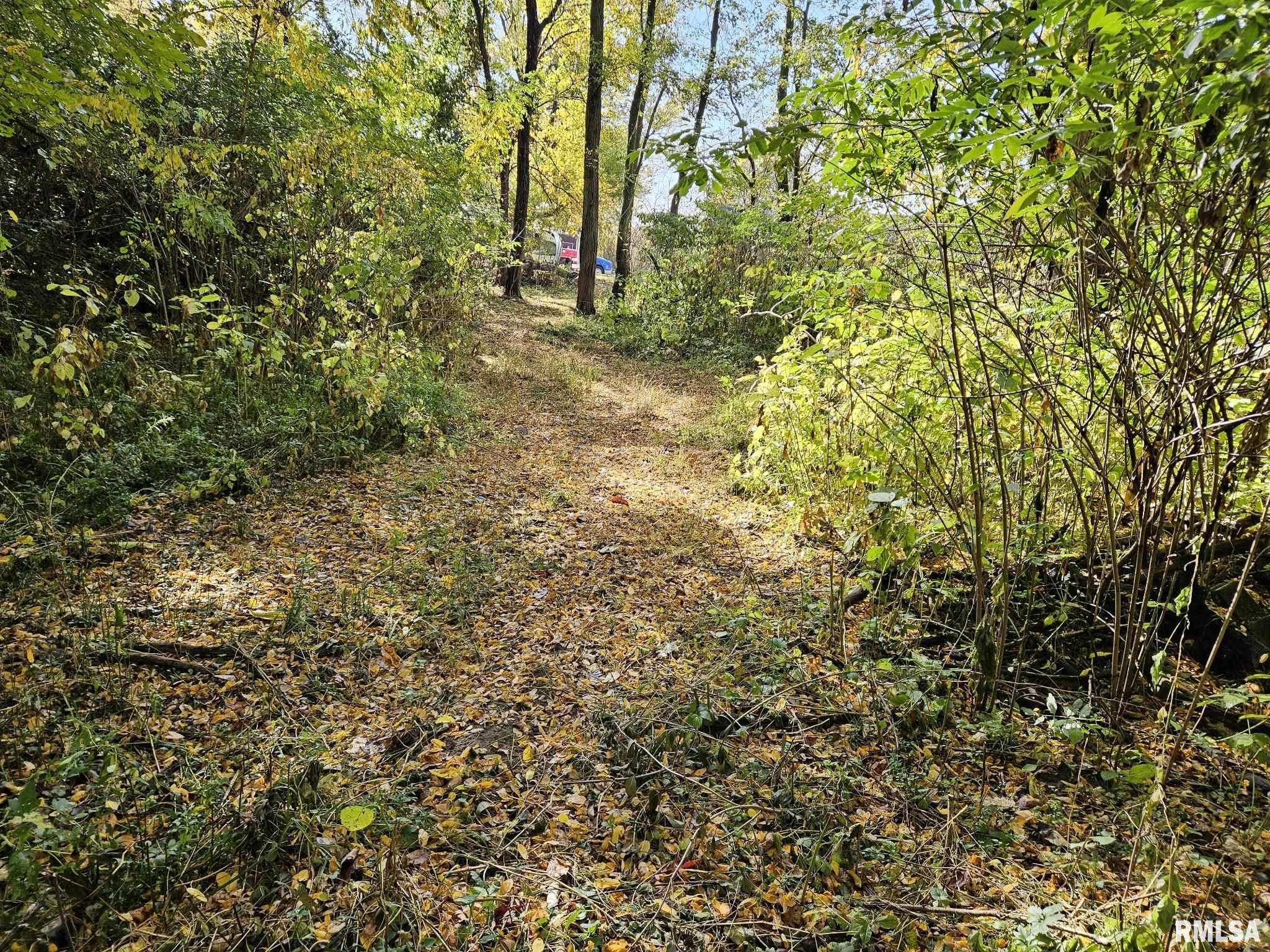 2.7 Acres Zachary Avenue, Montpelier, Iowa image 8