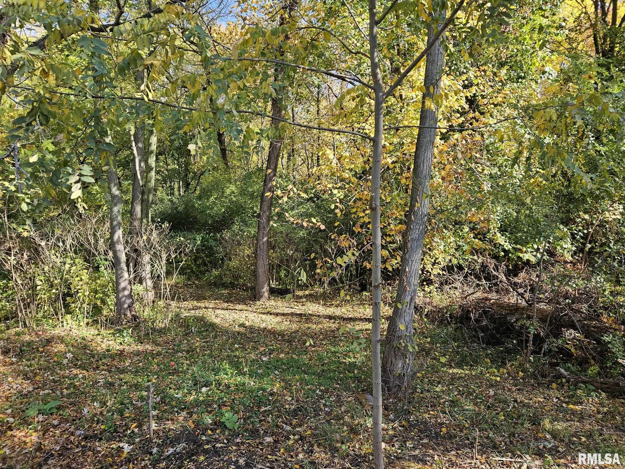 2.7 Acres Zachary Avenue, Montpelier, Iowa image 11