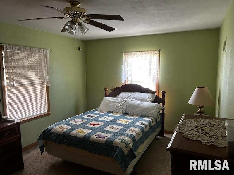 711 W Main Street, Reynolds, Illinois image 7