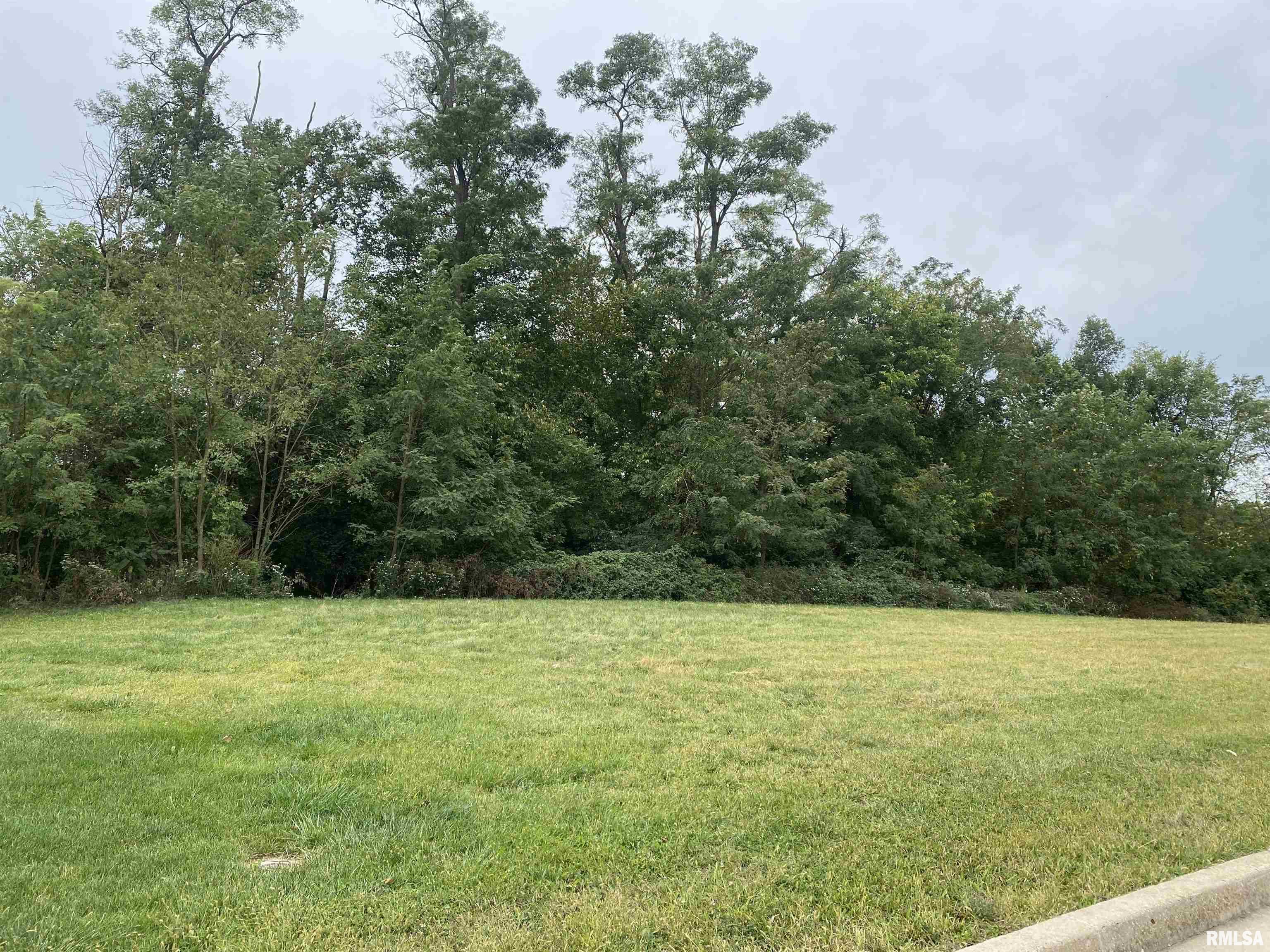 Lot 22 W Woods Edge Drive, Peoria, Illinois image 1