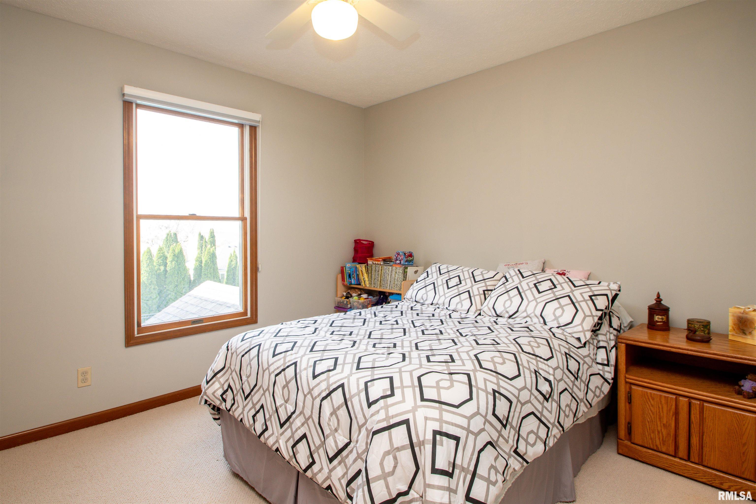 2326 W Monica Drive, Dunlap, Illinois image 36