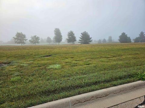 Vacant Land For Sale - 716 Brinkman Way<br/> Metamora, IL 61548