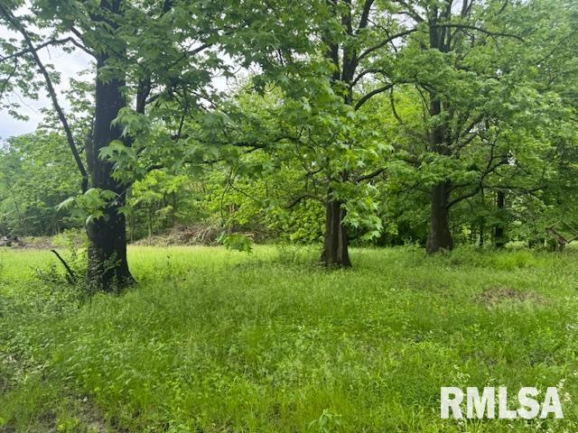 9130 Route 13 Road, Marion, Illinois image 3