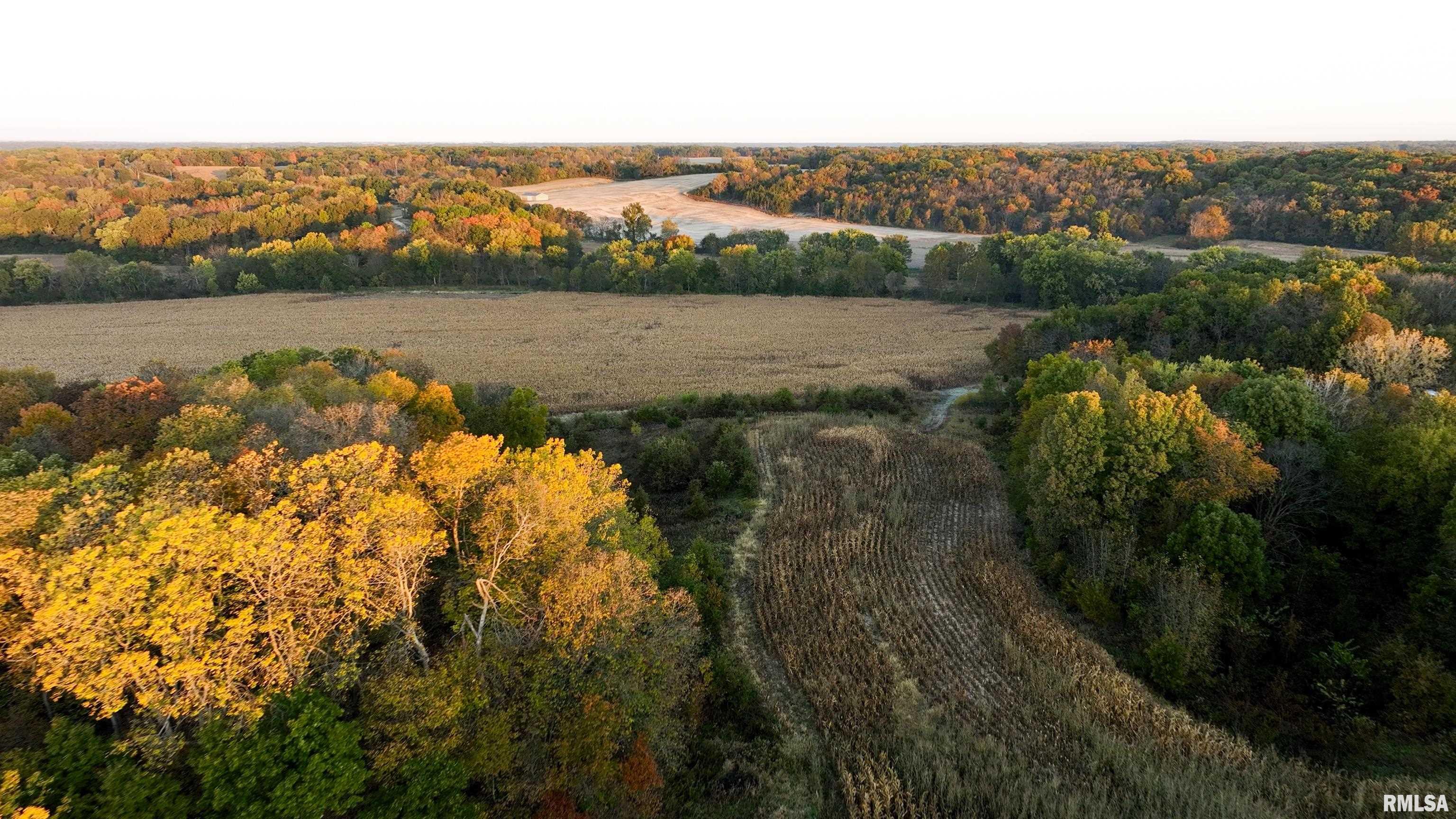 N Polecat Road, Cuba, Illinois image 6