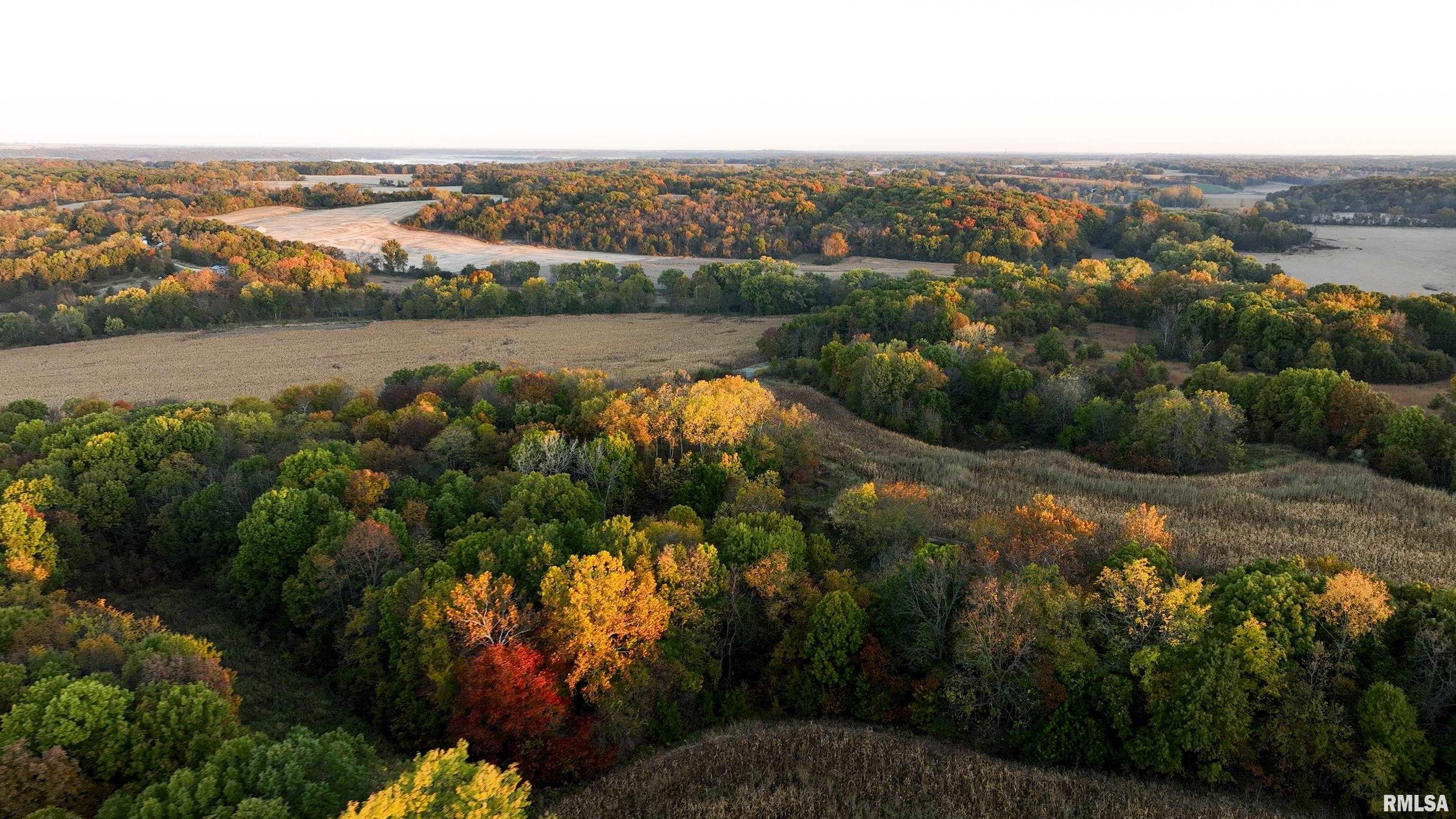 N Polecat Road, Cuba, Illinois image 1