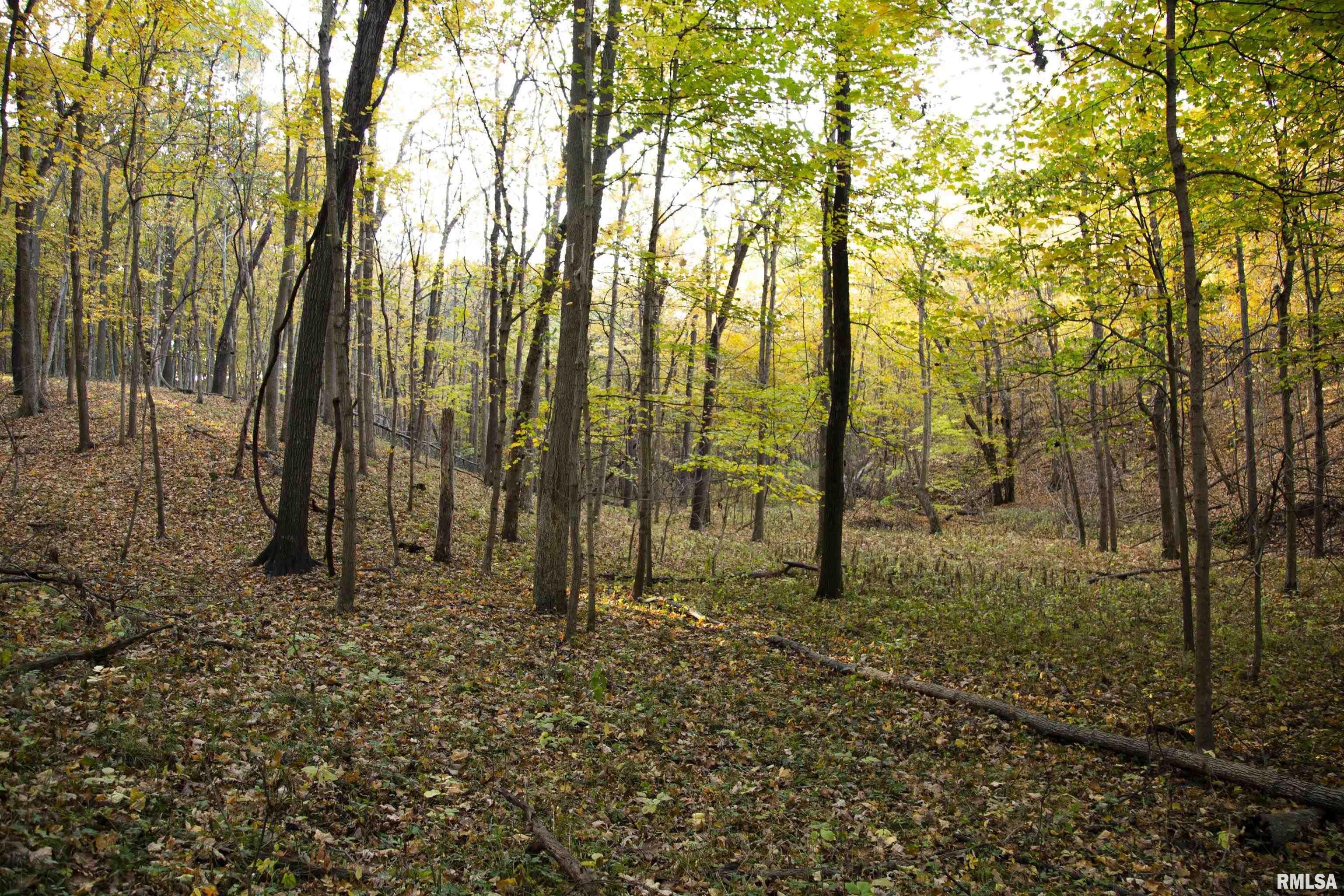 N Polecat Road, Cuba, Illinois image 18