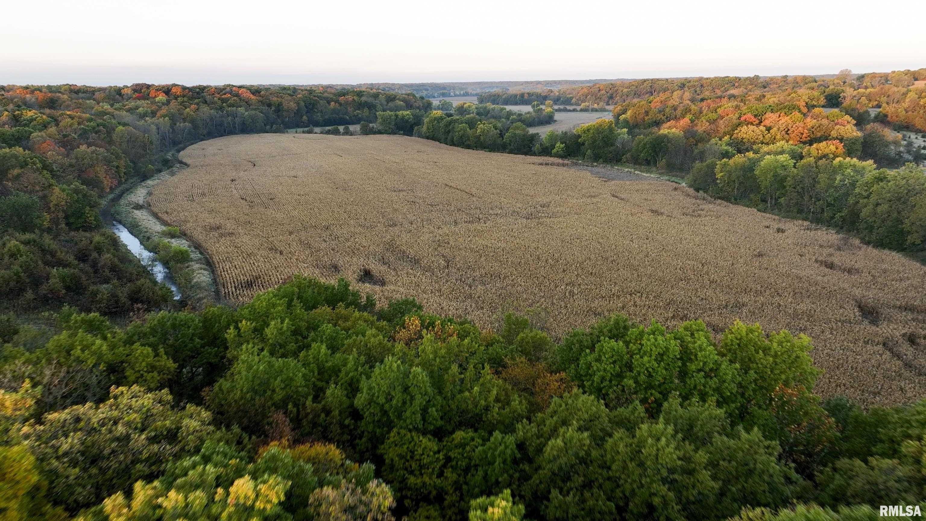 N Polecat Road, Cuba, Illinois image 5