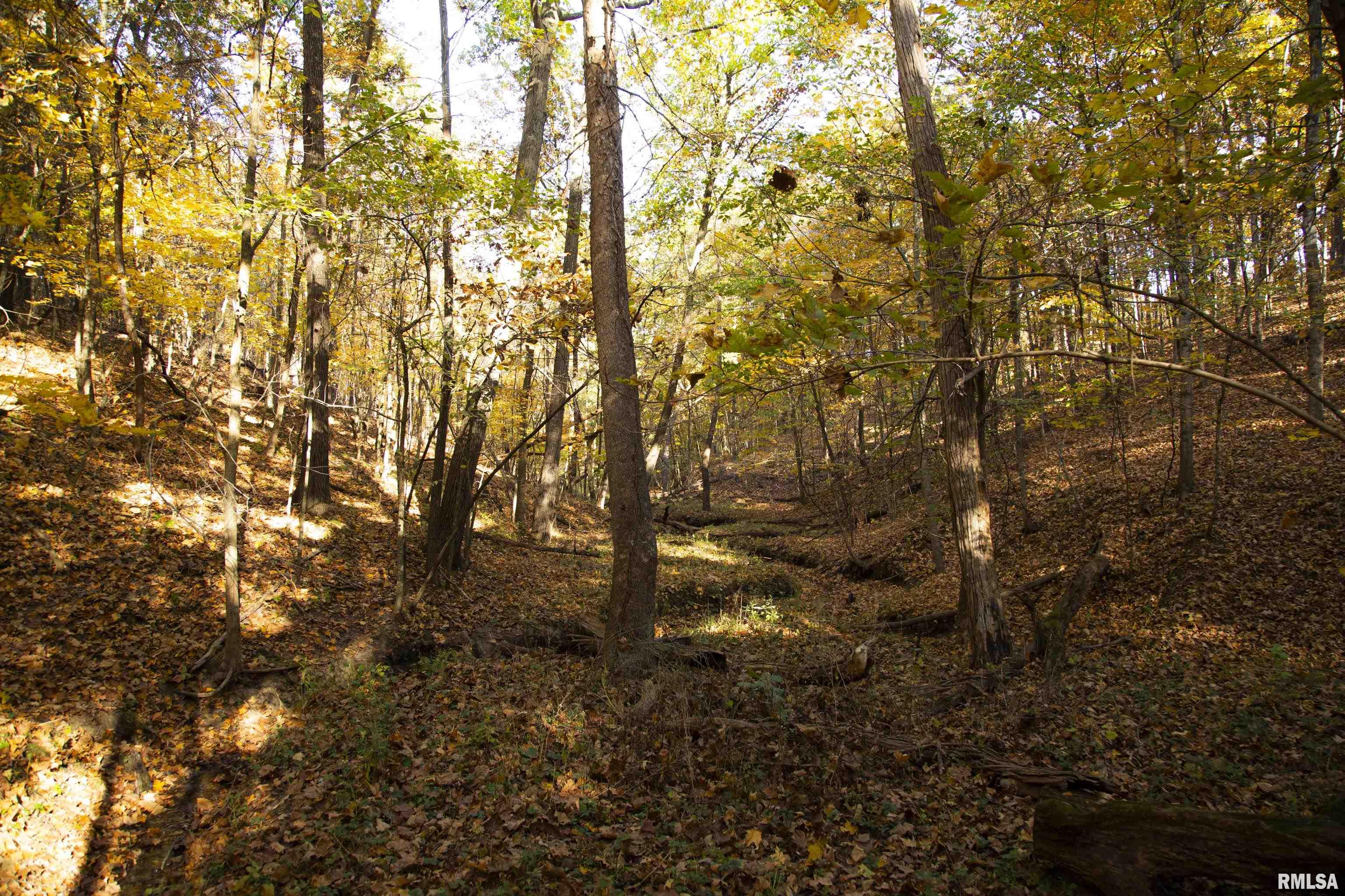 N Polecat Road, Cuba, Illinois image 32