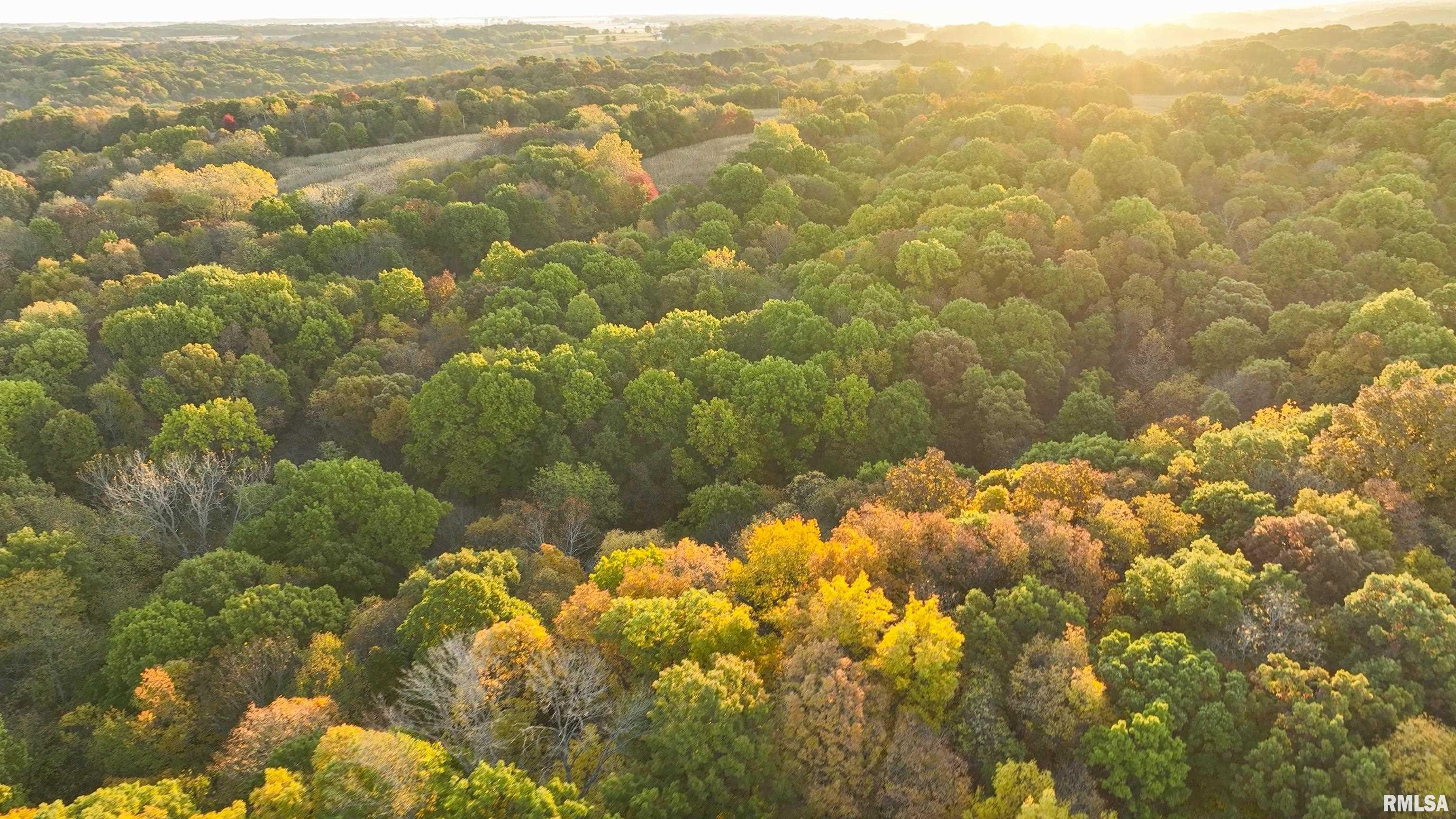 N Polecat Road, Cuba, Illinois image 12