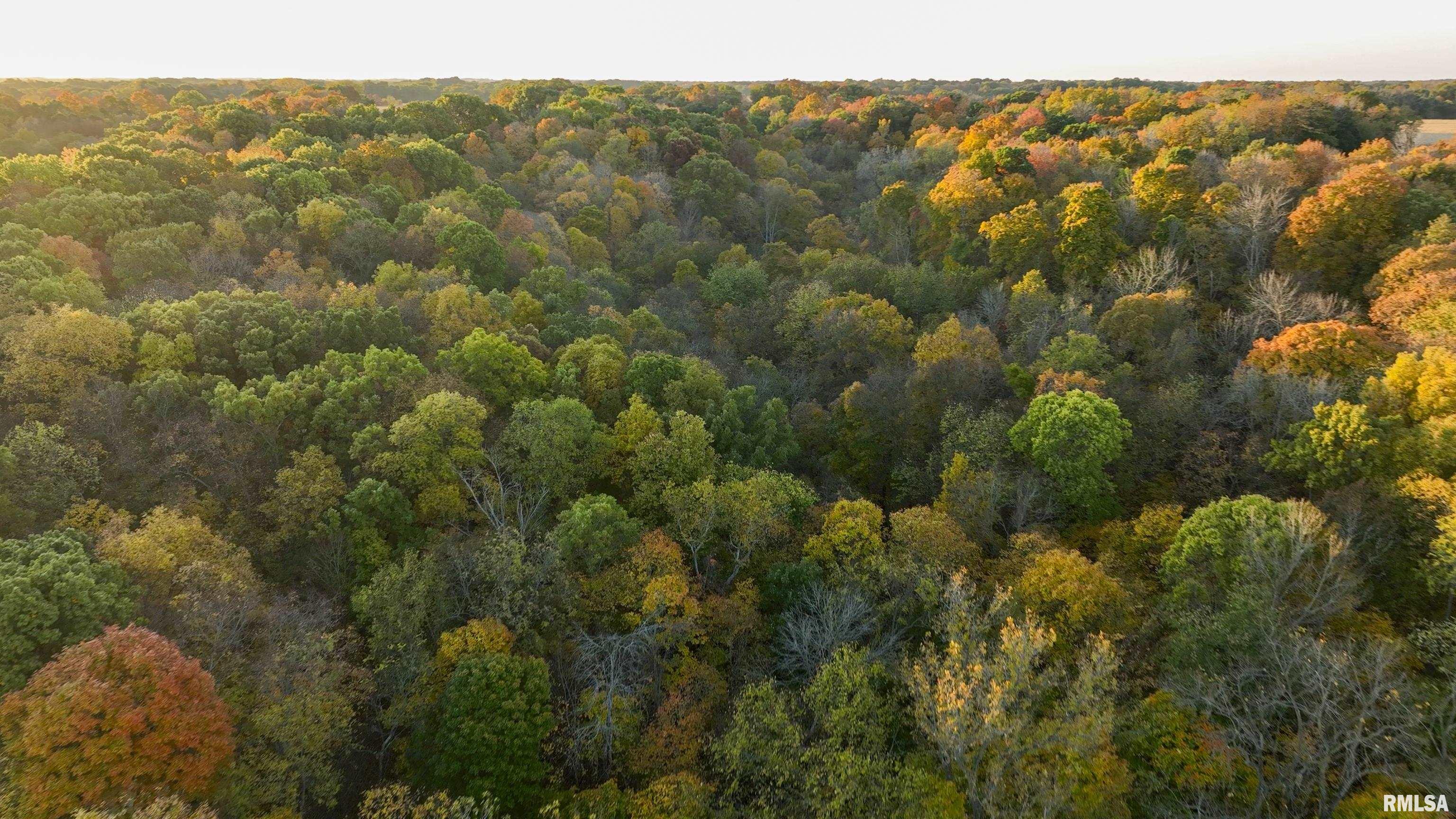 N Polecat Road, Cuba, Illinois image 13