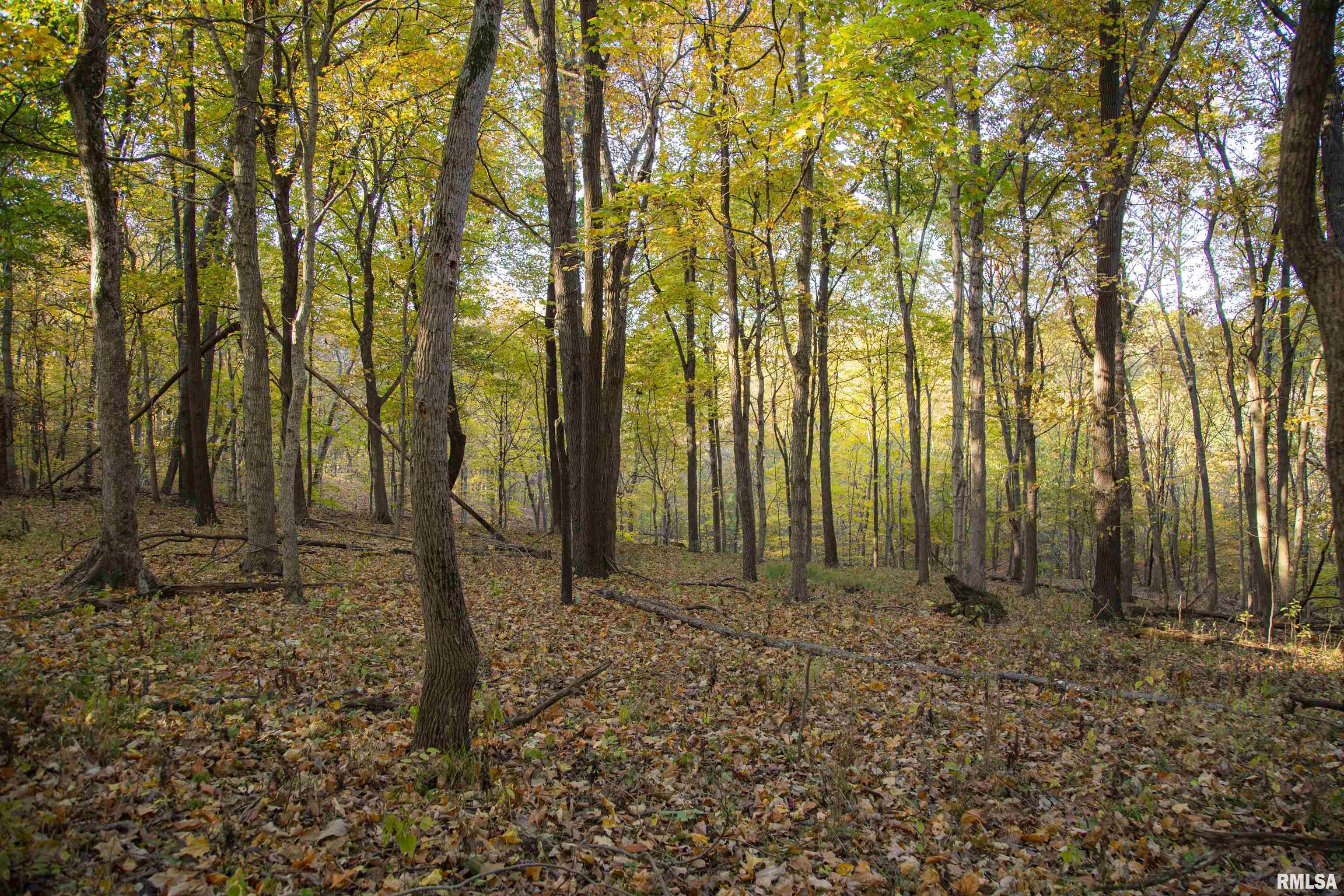 N Polecat Road, Cuba, Illinois image 30