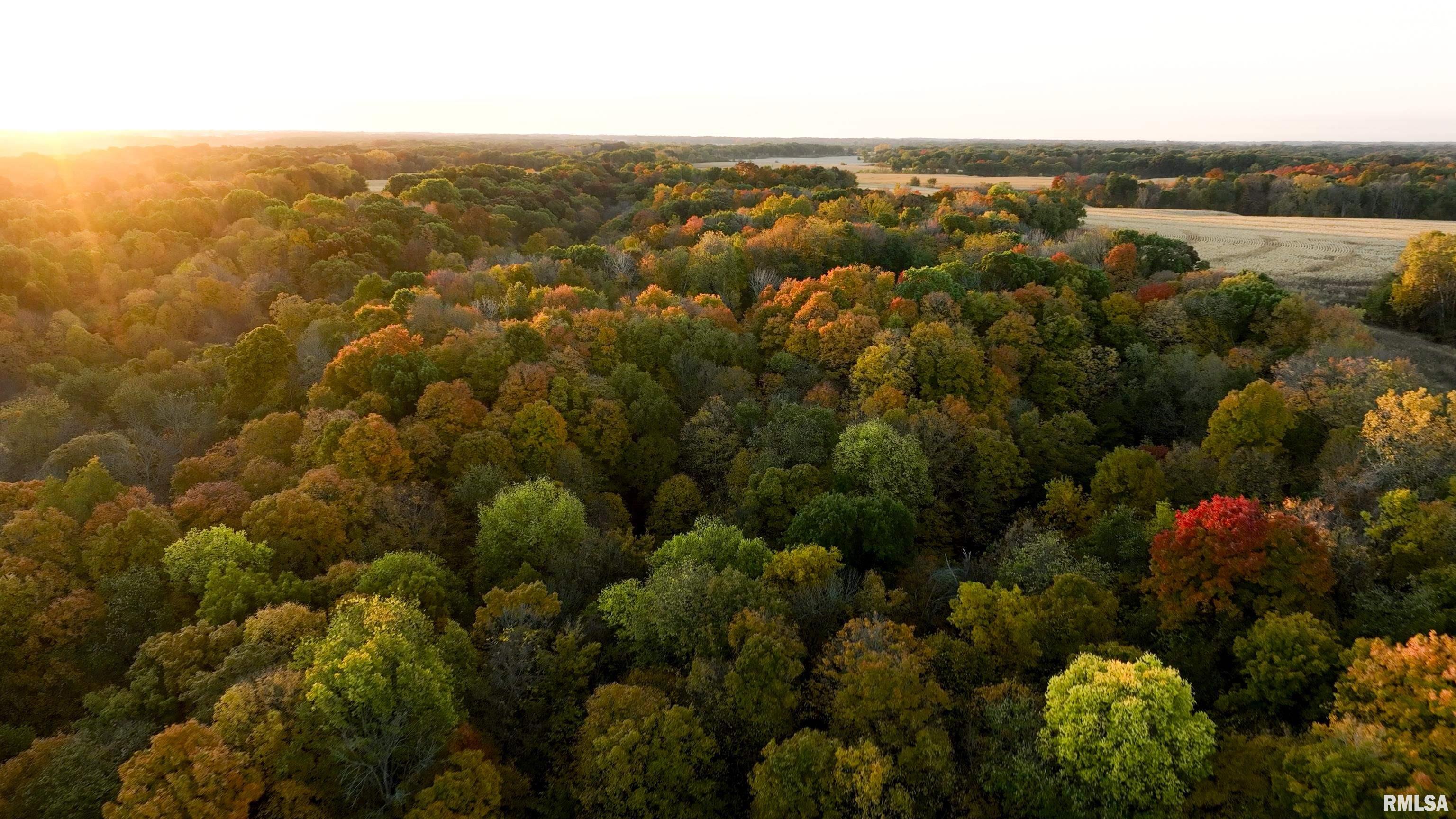 N Polecat Road, Cuba, Illinois image 3