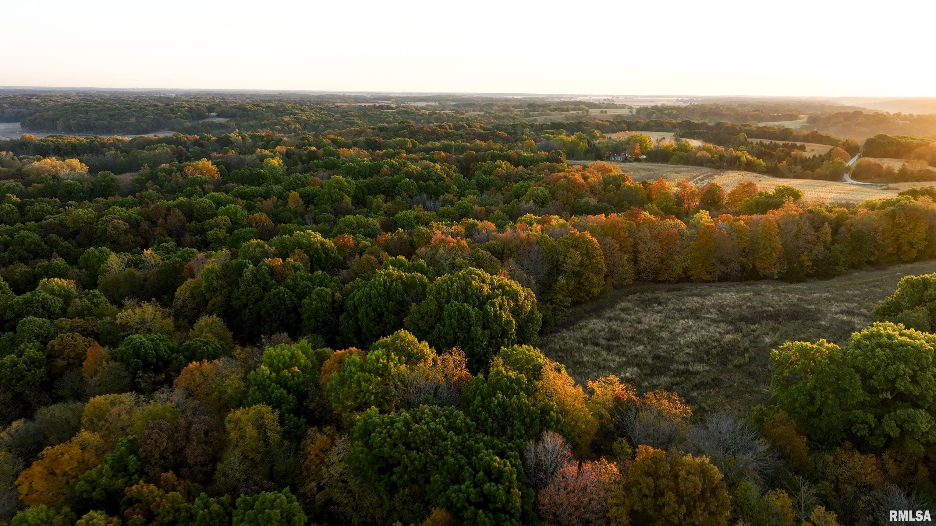 N Polecat Road, Cuba, Illinois image 4