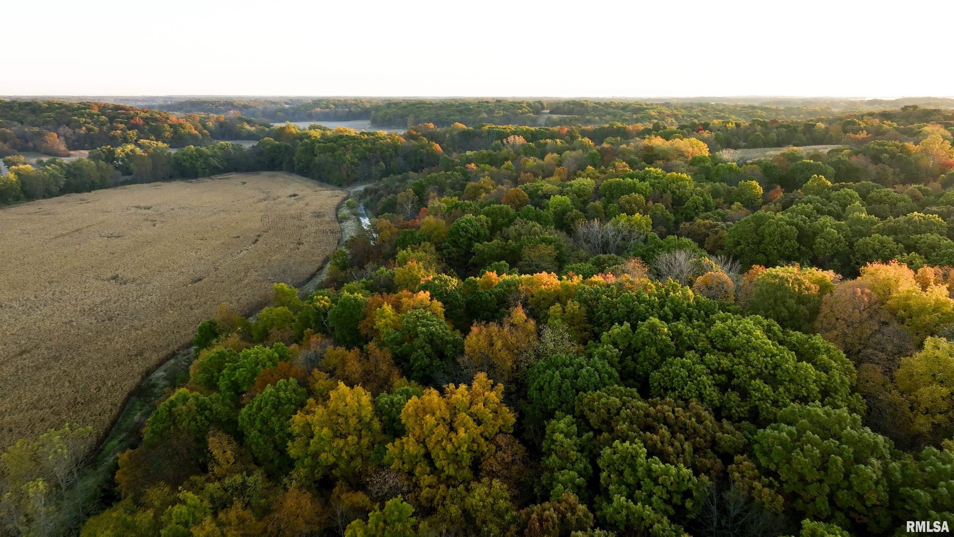 N Polecat Road, Cuba, Illinois image 9