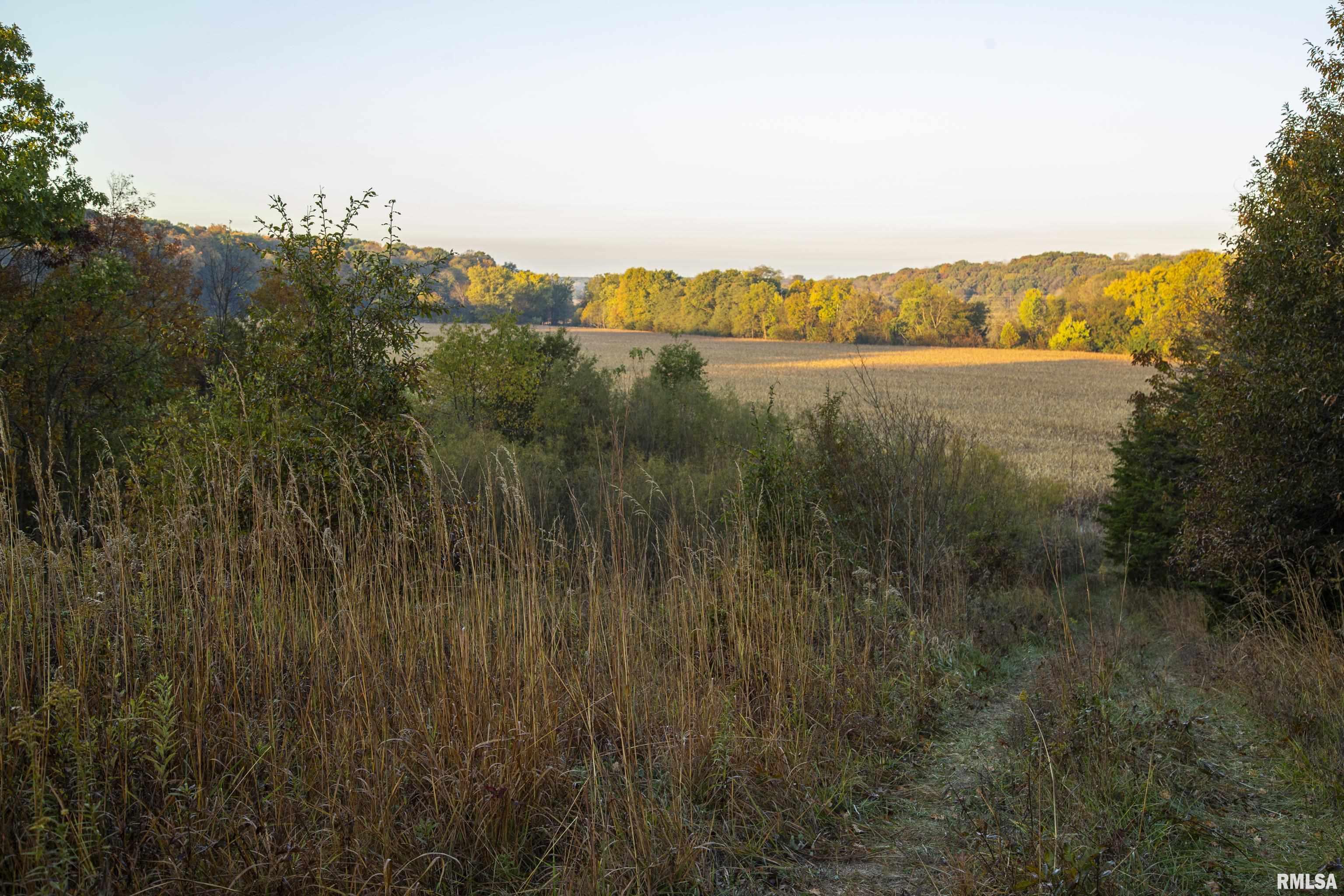 N Polecat Road, Cuba, Illinois image 15