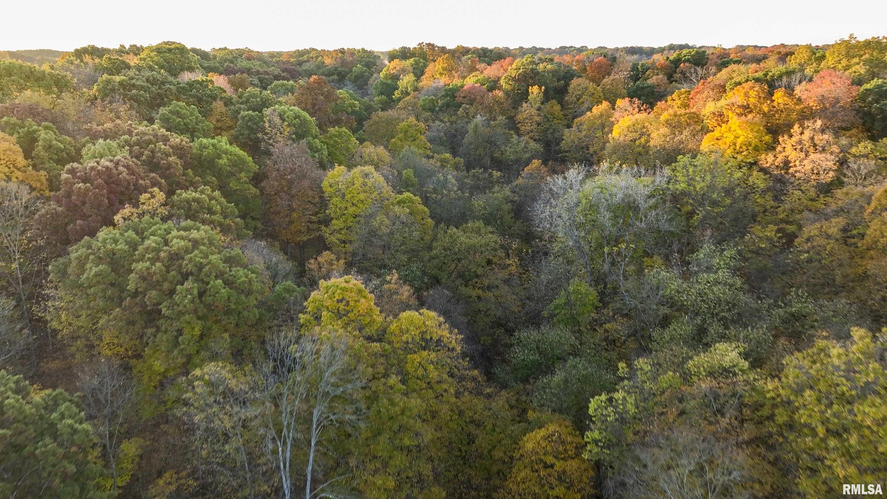 N Polecat Road, Cuba, Illinois image 14