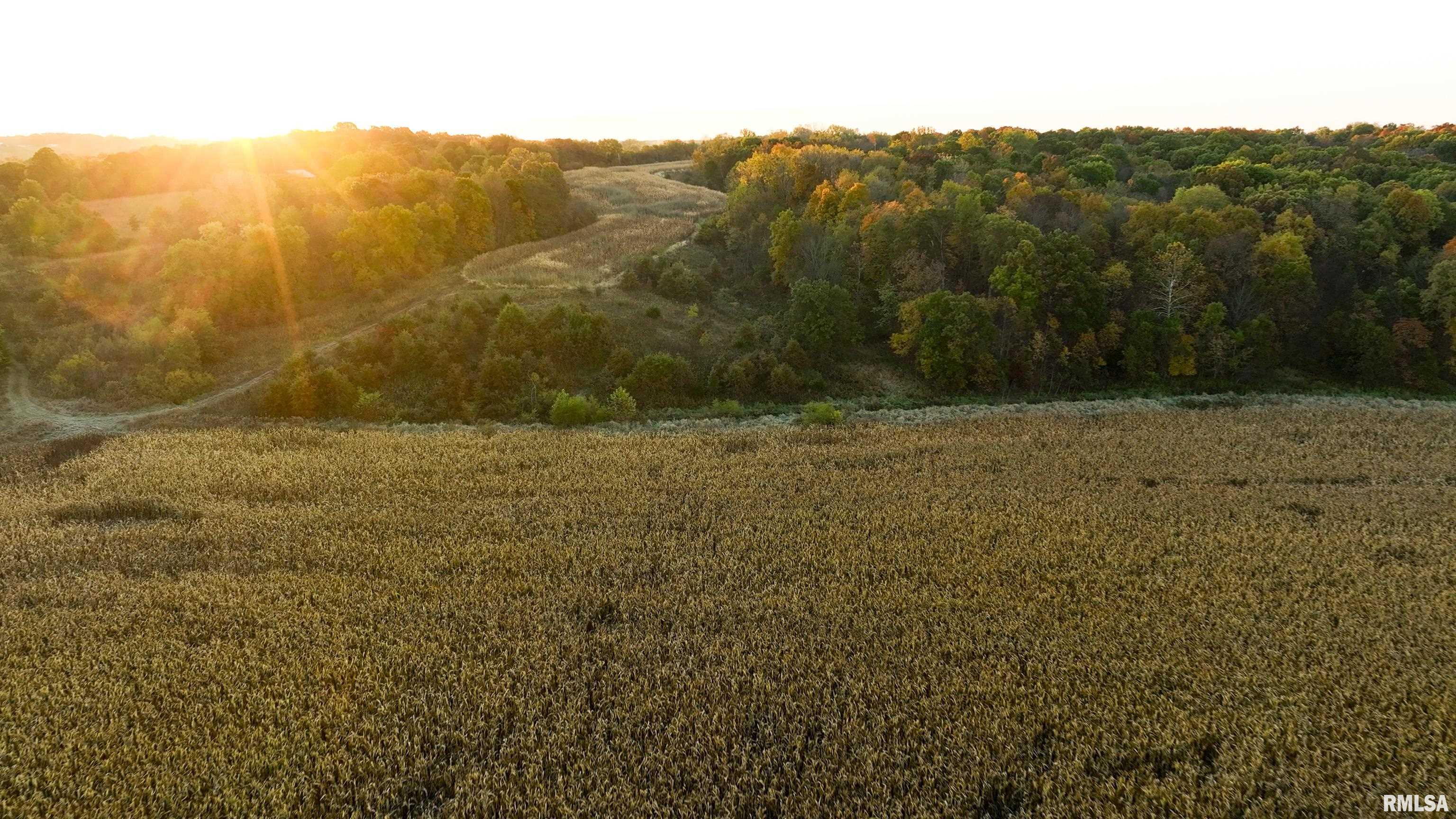 N Polecat Road, Cuba, Illinois image 7