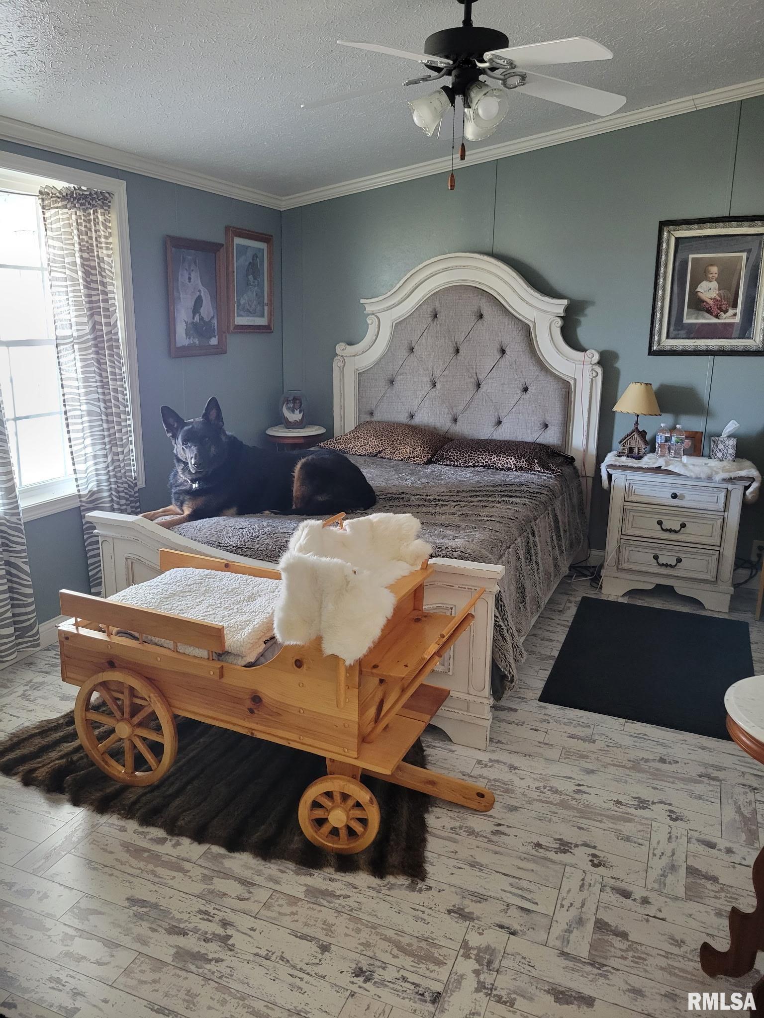 715 W Webster Street, Griggsville, Illinois image 20