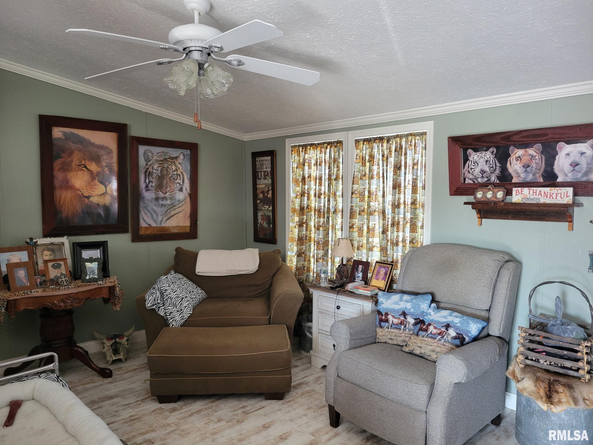 715 W Webster Street, Griggsville, Illinois image 4