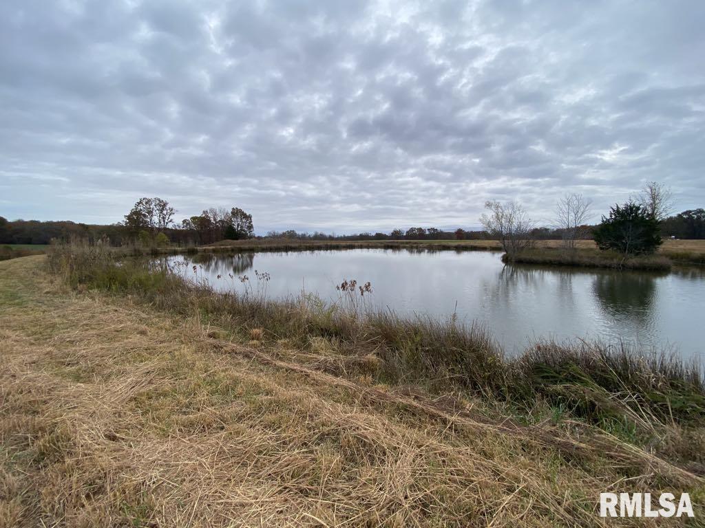 13686 Somers Church Road, Thompsonville, Illinois image 10