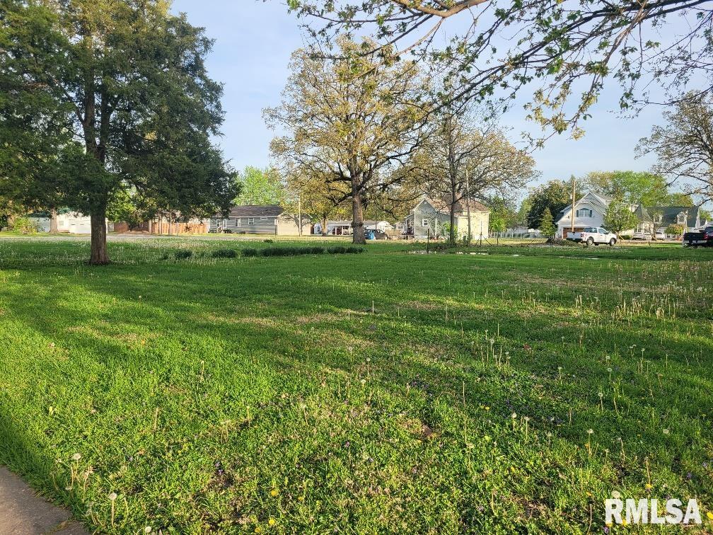 211 W Matthew Street, Sesser, Illinois image 8