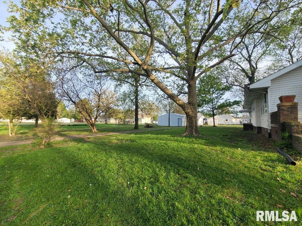 211 W Matthew Street, Sesser, Illinois image 10