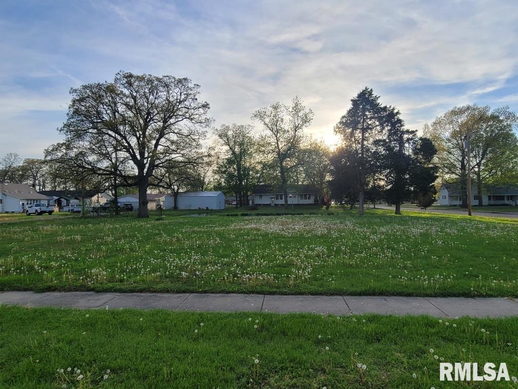 211 W Matthew Street, Sesser, Illinois image 11